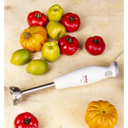 Блендер Tefal HB453138