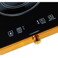 Настільна плита Grunhelm GIR-202