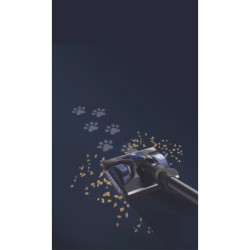 Пилосос Rowenta RH99G1WO