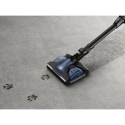 Пилосос Rowenta RH99G1WO