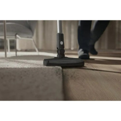 Пилосос Electrolux EP31CB21GP