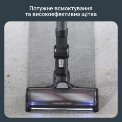 Пилосос Rowenta RH9B74WO