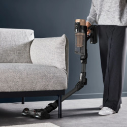 Пилосос Rowenta RH9B74WO