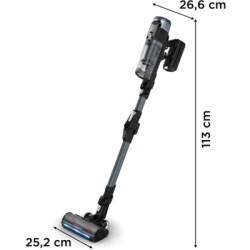 Пилосос Rowenta RH9C71E0