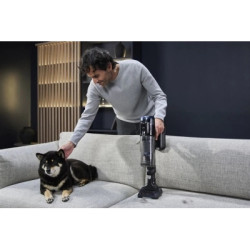 Пилосос Rowenta RH9C71E0