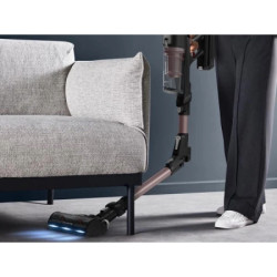 Пилосос Rowenta RH9CD9E0