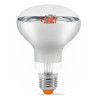 Лампочка Videx Filament R80FF 09W E27 1200K (VL-R80FF-09271)