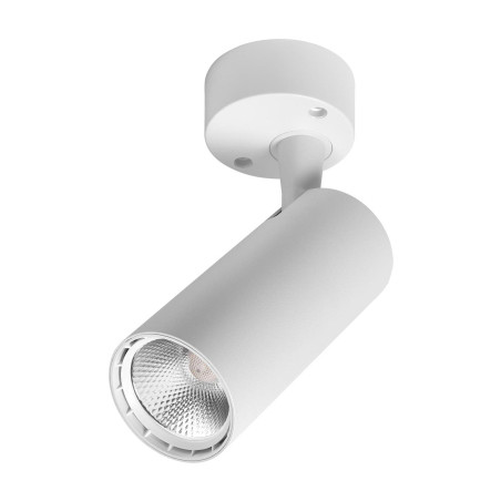 Спот Delux TL02S 10 Вт 4000K (90015886)