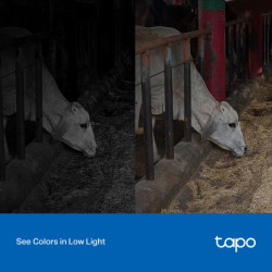 Камера відеоспостереження TP-Link TAPO-C320WS