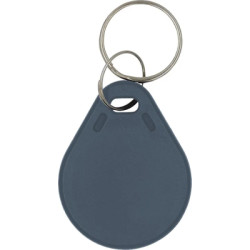 Брелок з чіпом Trinix P-key RW gray