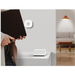 Модуль управління розумним будинком TP-Link Tapo H200 (TAPO-H200)