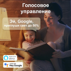 Розумна лампочка TP-Link Tapo L530E