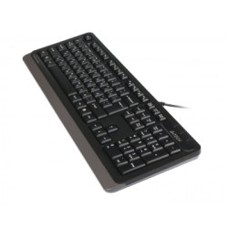 Клавіатура A4Tech FK10 Grey (4711421942959)