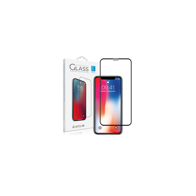 Скло захисне ACCLAB Full Glue ESD Apple Iphone X/XS/11 Pro (1283126532139)