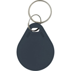 Брелок з чіпом Trinix P-key RW black