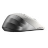 Мишка A4Tech FG35 Silver (4711421948067)