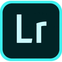 ПЗ для мультимедіа Adobe Lightroom w Classic for teams ALL Multiple Platforms Multi E (65305313CA01A12)