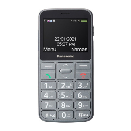 Мобільний телефон Panasonic KX-TU160 Grey (KX-TU160EXG)