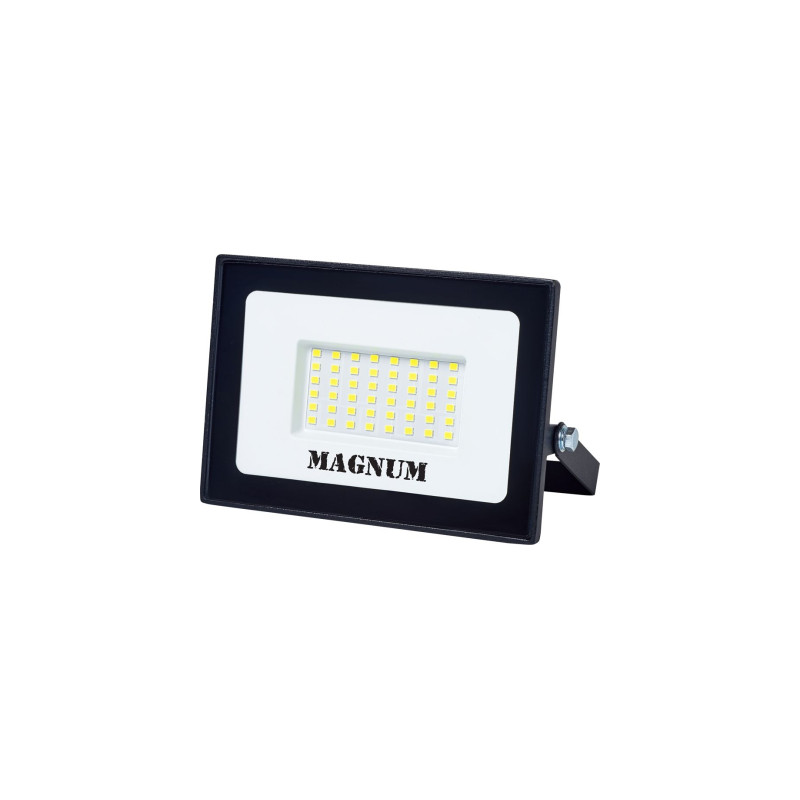 Прожектор MAGNUM FL12 ECO LED 50Вт slim 6500К IP65 (90018085)
