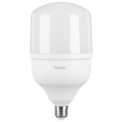 Лампочка Vestum LED T120 40W 6500K 220V E27 (1-VS-1609)
