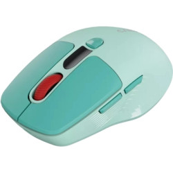Мишка Canyon MW-26 LCD Silent Wireless/Bluetooth Green (CNS-CMSW26GR)