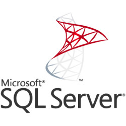 ПЗ для сервера Microsoft SQL Server 2025 - 1 User CAL Charity, Perpetual (DG7GMGF0VNHV_0002CHR)