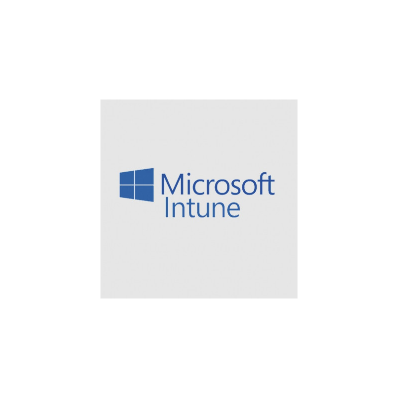 Офісний додаток Microsoft Intune Storage Add-on P1Y Annual License (CFQ7TTC0LCH4_0006_P1Y_A)