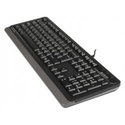 Клавіатура A4Tech FKS10 USB Grey (4711421963329)