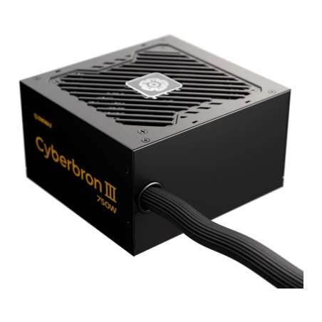 Блок живлення Enermax 750W Cyberbron III (EMB750EWT-NAC)