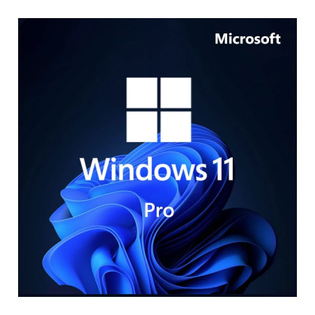 Операційна система Microsoft Win Pro 11 64-bit All Lng PK Lic Online DwnLd NR (FQC-10572)