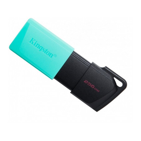 USB флеш накопичувач Kingston 256GB DataTraveler Exodia M USB 3.2 (DTXM/256GB)