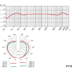 Мікрофон AKG P170 (3101H00410)