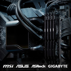 Модуль пам'яті для комп'ютера DDR5 128GB (2x64GB) 5600 MHz Beast Black Kingston Fury (ex.HyperX) (KF556C40BBK2-128)