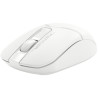 Мишка A4Tech FB12S Wireless/Bluetooth White (4711421967877)