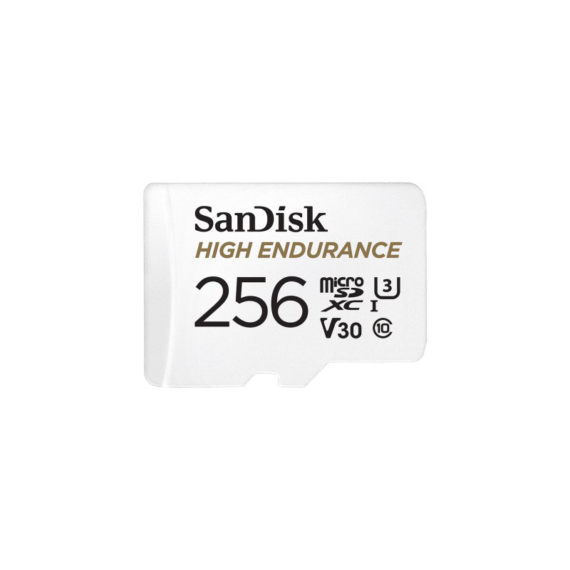 Карта пам'яті SanDisk 256GB microSD class 10 UHS-I U3 V30 High Endurance (SDSQQNR-256G-GN6IA)