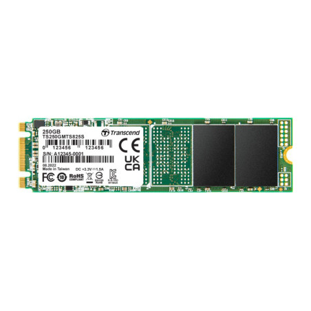 Накопичувач SSD M.2 2280 250GB Transcend (TS250GMTS825S)