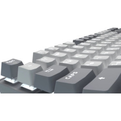 Клавіатура GamePro Genesis Metallic MK110G Outemu Red Switch USB UA Gray (MK110G)