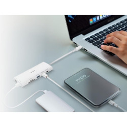 Концентратор D-Link USB-C 10-in-1 2xHDMI + 1xRJ45 1000Mbps + 2xUSB-C + USB 3.1 + USB 3.0 + SD + TF silver (DUP-A01)