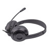 Навушники A4Tech FH100U Stone Black (4711421976978)
