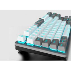 Клавіатура Aula F3287 Keycap KRGD Blue USB UA Grey/White (6948391240954)