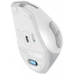 Мишка A4Tech FG35C Plus Wireless White (4711421002974)