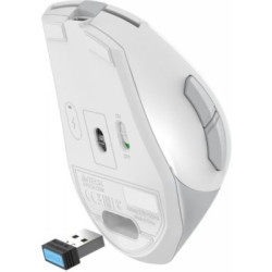 Мишка A4Tech FG35C Plus Wireless White (4711421002974)