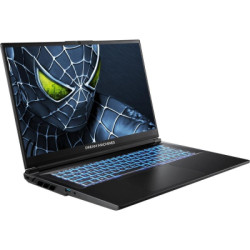 Ноутбук Dream Machines RG5050-17 (RG5050-17UA31)