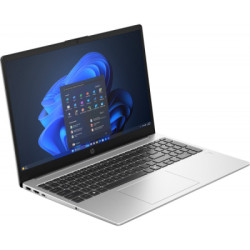 Ноутбук HP 255R G10 (AD1U9ET)