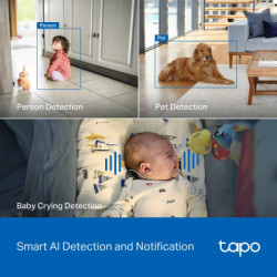 Камера відеоспостереження TP-Link TAPO-C260