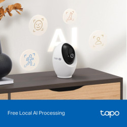 Камера відеоспостереження TP-Link TAPO-C260