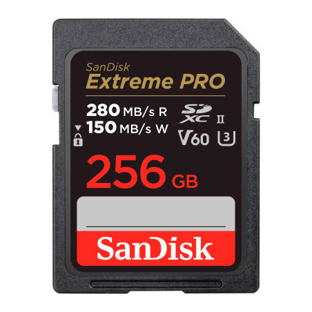Карта пам'яті SanDisk 256GB SDXC class 10 UHS-I Extreme Pro (SDSDXEP-256G-GN4IN)