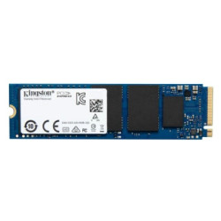 Накопичувач SSD M.2 2280 256GB Kingston (OM8SEP4256Q-A0)