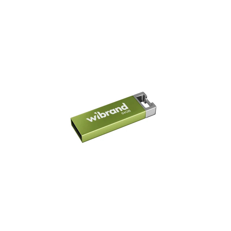 USB флеш накопичувач Wibrand 64GB Chameleon Green USB 2.0 (WI2.0/CH64U6LG)