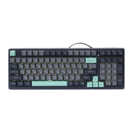 Клавіатура A4Tech FS300 FS Switches USB Panda Rock Climbin (4711421000444)